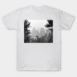 Cloudy View T-Shirt